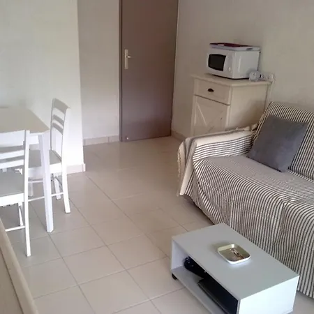 Climatisé Avec Piscine Et Parking Au Grau Du Roi - Fr-1-731-98 Appartement