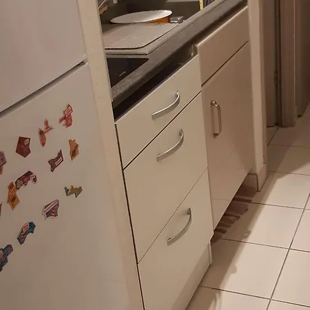 Climatise Avec Piscine Et Parking Au Grau Du Roi - Fr-1-731-98 Apartmán *